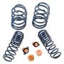 Ford Racing M-5300-T 2012-2013 Boss 302 Lowering Springs