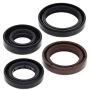 Vertex Pistons 822340 Vertex Gaskets 08-19 Polaris Outlaw 50 Oil Seal Kit