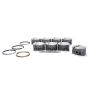 LS1 PowerPak F/T Piston Set 3.905 Bore