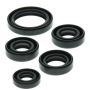 Vertex Pistons 822138 Vertex Gaskets 88-02 Kawasaki KLF220 Bayou Oil Seal Kit