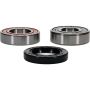 Pivot Works 25-1543-P Yamaha Wheel Bearing Kit Premium Bearings