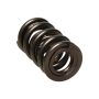 MANLEY MAN221425-16 1.640 NexTek Valve Springs