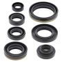 Vertex Pistons 822176 Vertex Gaskets 02-22 Suzuki RM85 Oil Seal Kit