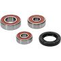 Pivot Works 25-1400-P Wheel Bearing Kit