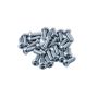 Top Street Performance 81005 LS1/LS6 (Car Application Coils Only)