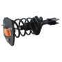 GSP 810074 Chevrolet, Pontiac Suspension Strut and Coil Spring Assembly  - Rear Right