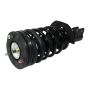 GSP 810119 Suspension Strut and Coil Spring Assembly