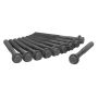 Ajusa 81013500 Cylinder Head Bolt Set