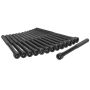 Ajusa 81016700 Cylinder Head Bolt Set