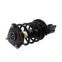 GSP 810220 Buick, Pontiac Suspension Strut and Coil Spring Assembly  - Front