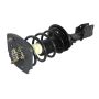 GSP 810318 Buick, Pontiac Suspension Strut and Coil Spring Assembly  - Rear Right