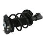 GSP 810322 Buick, Cadillac, Oldsmobile Suspension Strut and Coil Spring Assembly  - Front