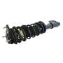 GSP 810323 Chevrolet, Oldsmobile, Pontiac Suspension Strut and Coil Spring Assembly  - Rear