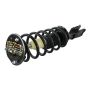 GSP 810331 Chevrolet, Pontiac Suspension Strut and Coil Spring Assembly  - Front Left