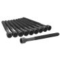 Ajusa 81059900 Cylinder Head Bolt Set