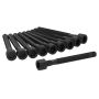 Ajusa 81061600 Cylinder Head Bolt Set