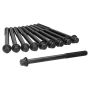 Ajusa 81065900 Cylinder Head Bolt Set