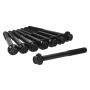 Ajusa 81066000 Cylinder Head Bolt Set