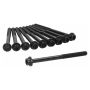 Ajusa 81066200 Cylinder Head Bolt Set