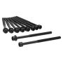 Ajusa 81066700 Cylinder Head Bolt Set