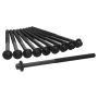 Ajusa 81069300 Cylinder Head Bolt Set