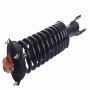 GSP 811112 Ford, Mercury Suspension Strut and Coil Spring Assembly  - Front Left