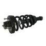 GSP 811361 10-14 Ford Expedition (Coil) Suspension Strut and Coil Spring Assembly  - Rear
