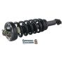 GSP 811369 2014 Ford F-150 (4WD) Suspension Strut and Coil Spring Assembly  - Front Left
