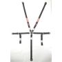 Racequip 739009 Black JR. CAMLOCK 5pt Seat Belt
