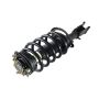 GSP 812009 Dodge, Volkswagen (3.8) Suspension Strut and Coil Spring Assembly  - Front Left