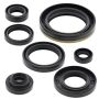 Vertex Pistons 822126 Vertex Gaskets 89-93 Suzuki RM250 Oil Seal Kit