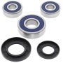 All Balls Racing 25-1344 91-97 Suzuki GSX250 (Euro) Wheel Bearing Kit - Rear