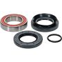 Pivot Works 25-1580-P Wheel Bearing Kit