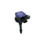 Granatelli Motor Sports 01818SC Hi-Perf Coil