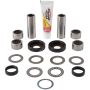 Pivot Works PWSAK-Y11-020 Yz/Wr S/A Bearing Kt Mult