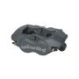Wilwood 120-13844 Caliper-Forged DynaliteI 1.75in Pistons .81in Disc