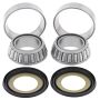 All Balls Racing 22-1022 2017 Beta RR-S 4T 125 Steering Bearing Kit