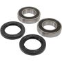 Pivot Works 25-1397-P Kawasaki, Suzuki, Yamaha Wheel Bearing Kit Premium Bearings