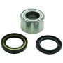 All Balls Racing 25-1538-HP 07-10 Suzuki LTA-450 X King Quad Tapered DAC Front Upgrade Kit