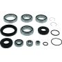 QuadBoss 412644 15-19 Honda TRX500FA FourTrax Foreman Rubicon 4x4 AT Front Differential Bearing & Seal Kit
