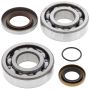 All Balls Racing 24-1112 03-04 Gas-Gas EC200 Crank Shaft Bearing Kit