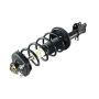 GSP 847002 99-03 Mazda Protege Suspension Strut and Coil Spring Assembly  - Rear Left