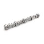 COMP CAMS COM54-701-11 Stage 1 Thumpr Camshaft LS 4.8L/5.3L/6.0L Trucks