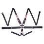 6pt Harness Camlock HNR Black SFI