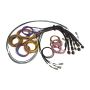 Haltech HT-185200 NEXUS R5 Universal Wire-In Harness - 2.5M (8ft)