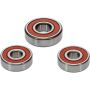 Pivot Works 25-1325-P Suzuki Wheel Bearing Kit Premium Bearings