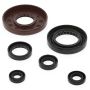 Vertex Pistons 822276 Vertex Gaskets 05-11 Honda TRX500FE Oil Seal Kit