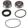 Pivot Works PWRWS-H12-000 91-02 Honda ST1100 PW Rear Wheel Bearing Kit