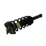 GSP 853316 00-06 Nissan Sentra Suspension Strut and Coil Spring Assembly  - Rear
