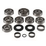 All Balls Racing 25-7006 00-02 Polaris Magnum 325 2x4 Transmission Rebuild Kit
